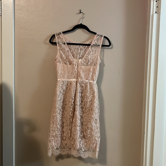 Jenny Yoo Collection Sleeveless Light Pink Lace Mini Bridesmaid Dress 0 - Picture 8 of 16